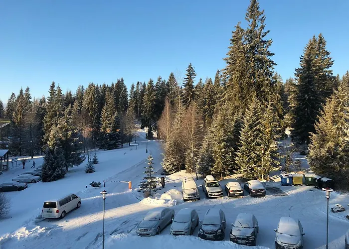 Golem Apartmán Strba