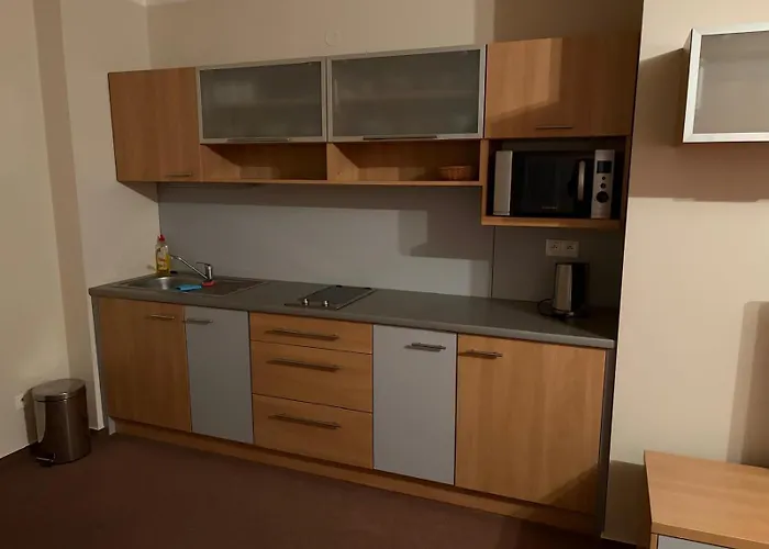 Golem Apartmán Strba